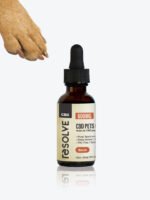 CBD Oil for Dogs & Cats
