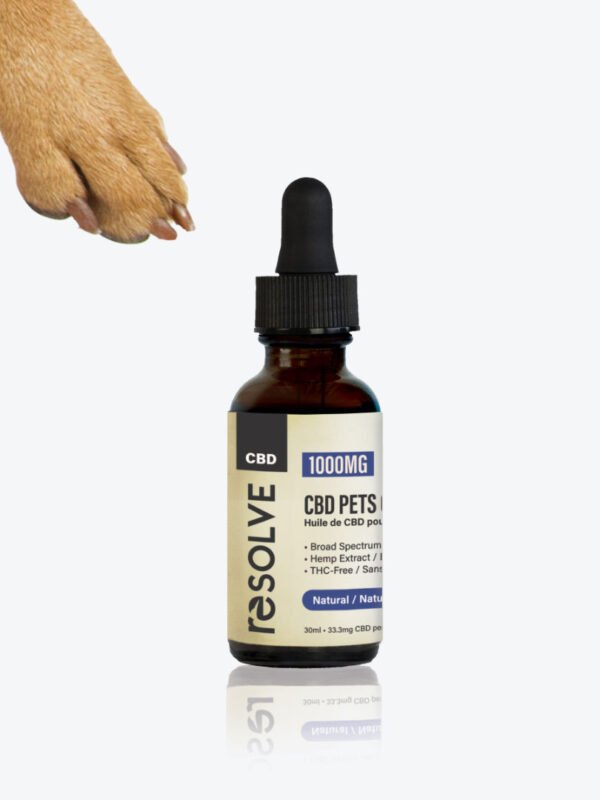 CBD Oil for Dogs & Cats